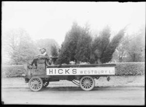 Hicks-Nurseries-circa-1915-providing-delivery-planting-1